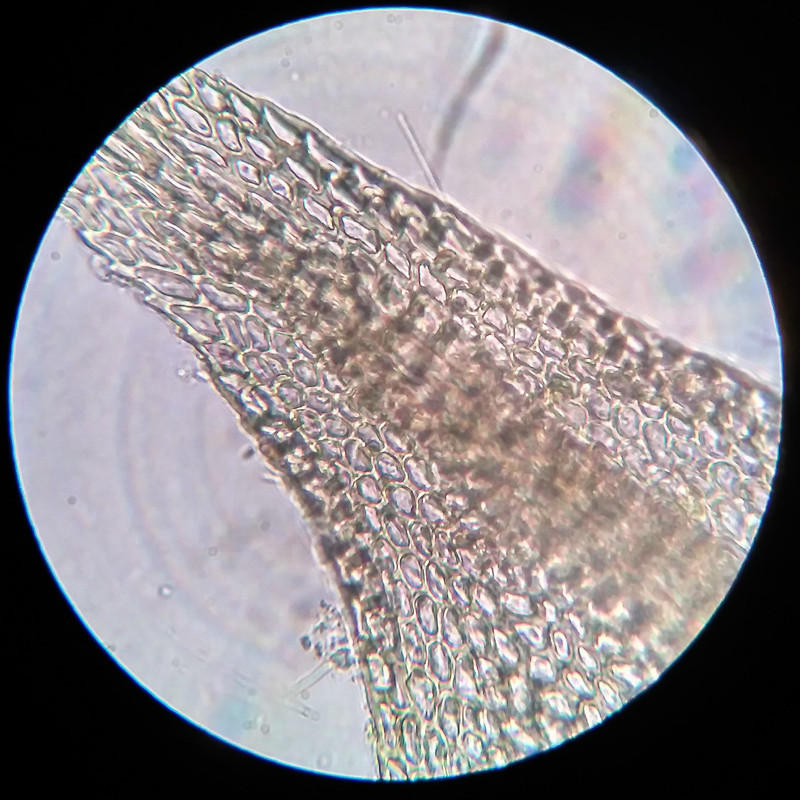 IMG 20250615 220650 HDR