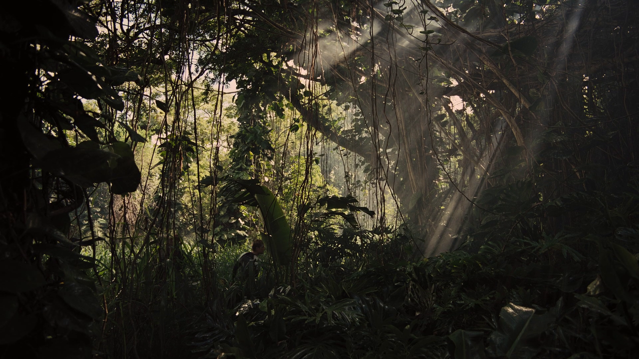 vlcsnap-2024-04-03-18h16m52s107