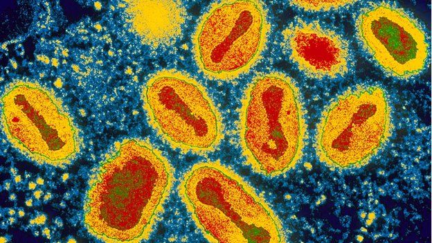 variola-virus.jpg