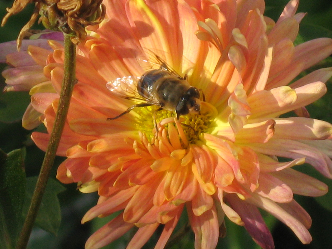 Изображение 208