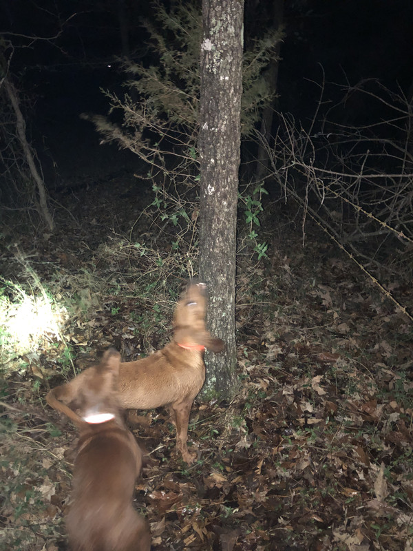 CC68BECF-E0BD-4B1A-BF4D-54CCBBAF12EC