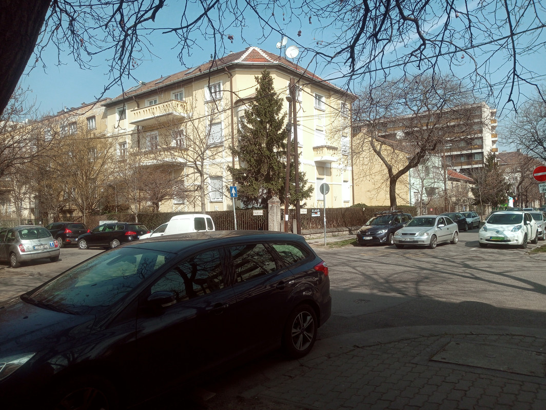 Kép