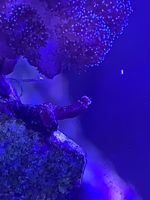 895720FA-3608-4EE9-B379-65A274043765