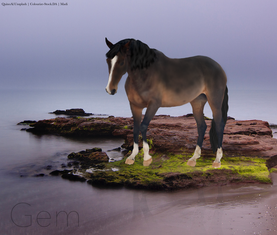 5BD963D7-E87D-4E16-98F4-30604289F677