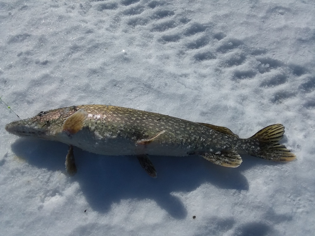 20200219_125940