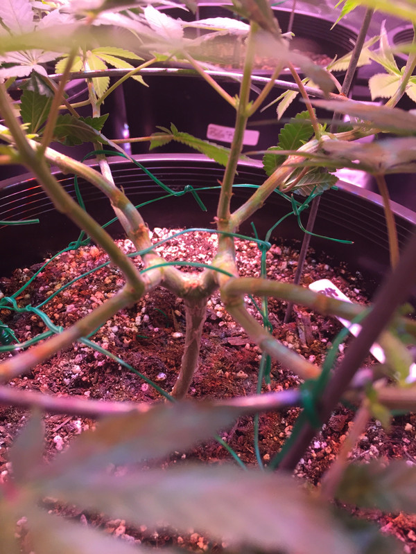 64B2A8AC-C9D5-4268-A061-C88D03E61585