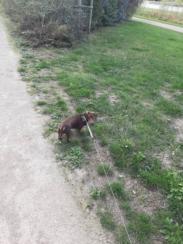 [Image: 20201009-180813.jpg]