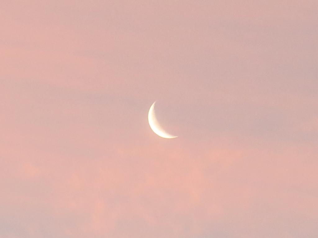 Waning Pink Crescent Moon Democratic Underground Forums