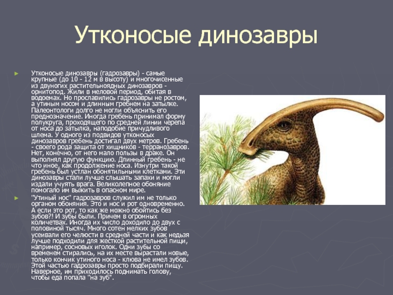 f62dcf3dfd7a91015d5ccb4f99c652b7-800x