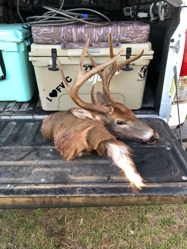 134D3E9F-3190-436C-A0D5-40BC761A570F