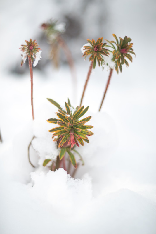 IMG-346038bffc04bf05e9b6026ca44ce1c7-V