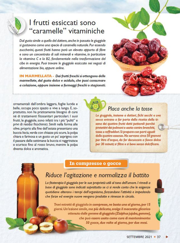 Sal Nat Set 2021 (8)