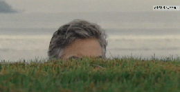 source.gif