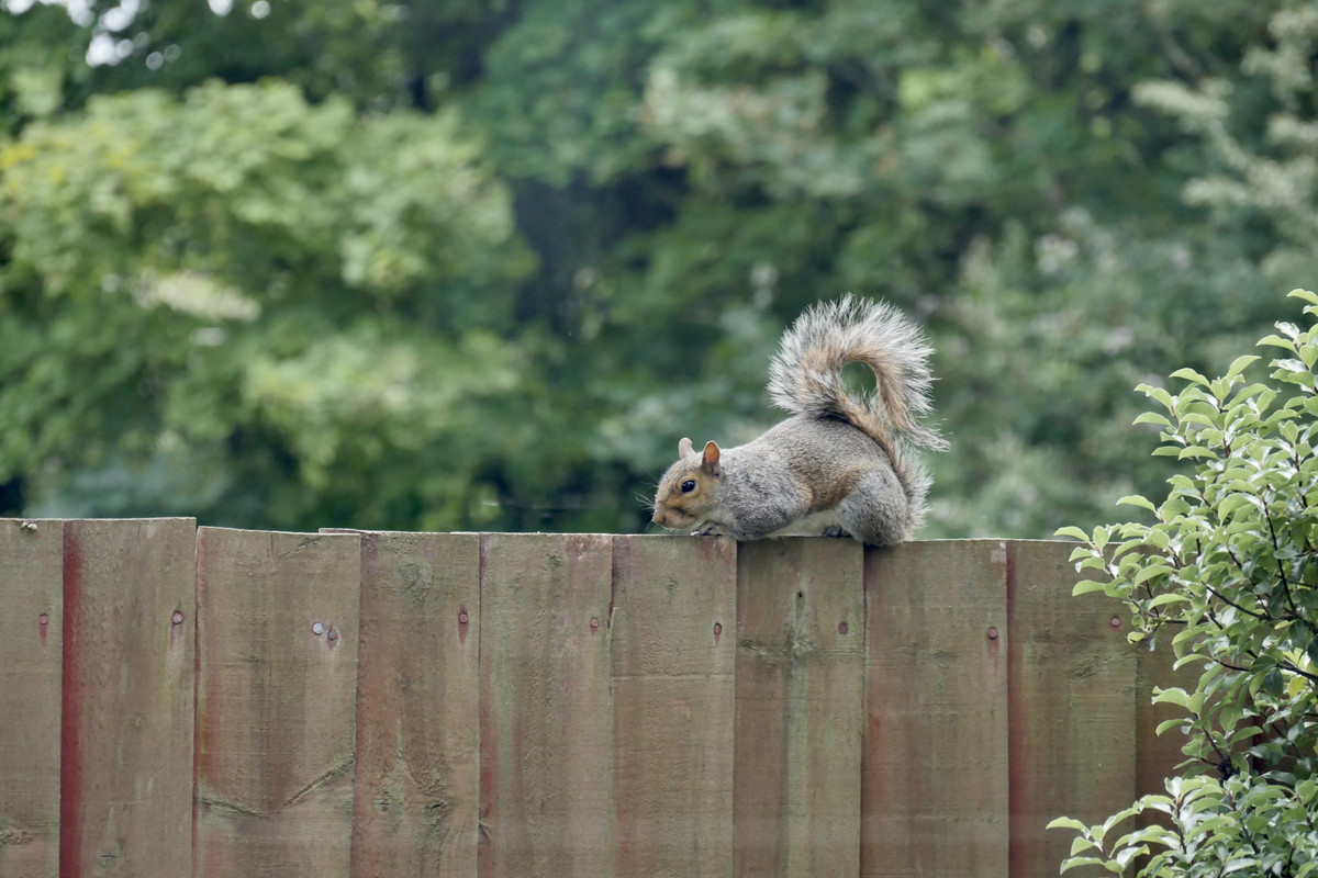 611F3BC4-27BB-4D0F-9E1B-4358FAF26588