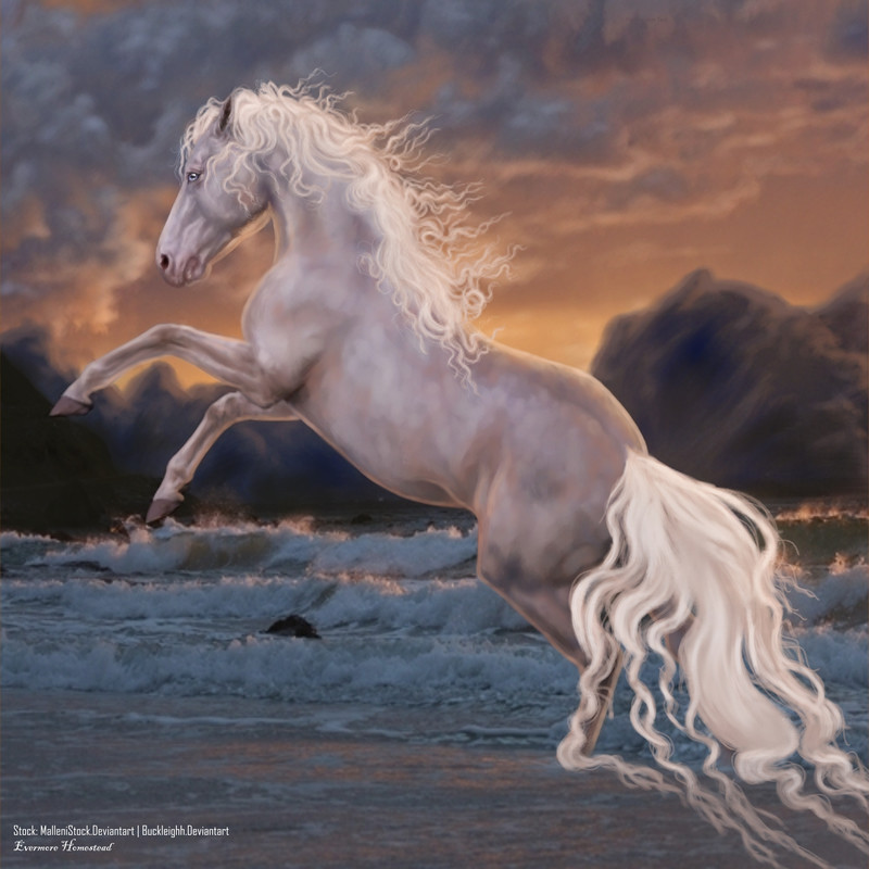 2000 2000 Manip Evening Dance