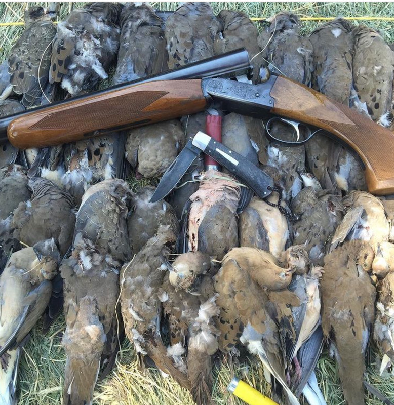 FC01E96B-8F8E-4AEC-9CAE-D3D4EEEC9F38