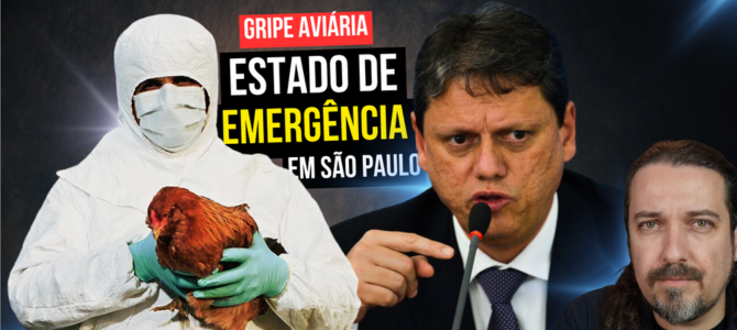 Estado de São Paulo entra em emergência por conta da gripe aviária