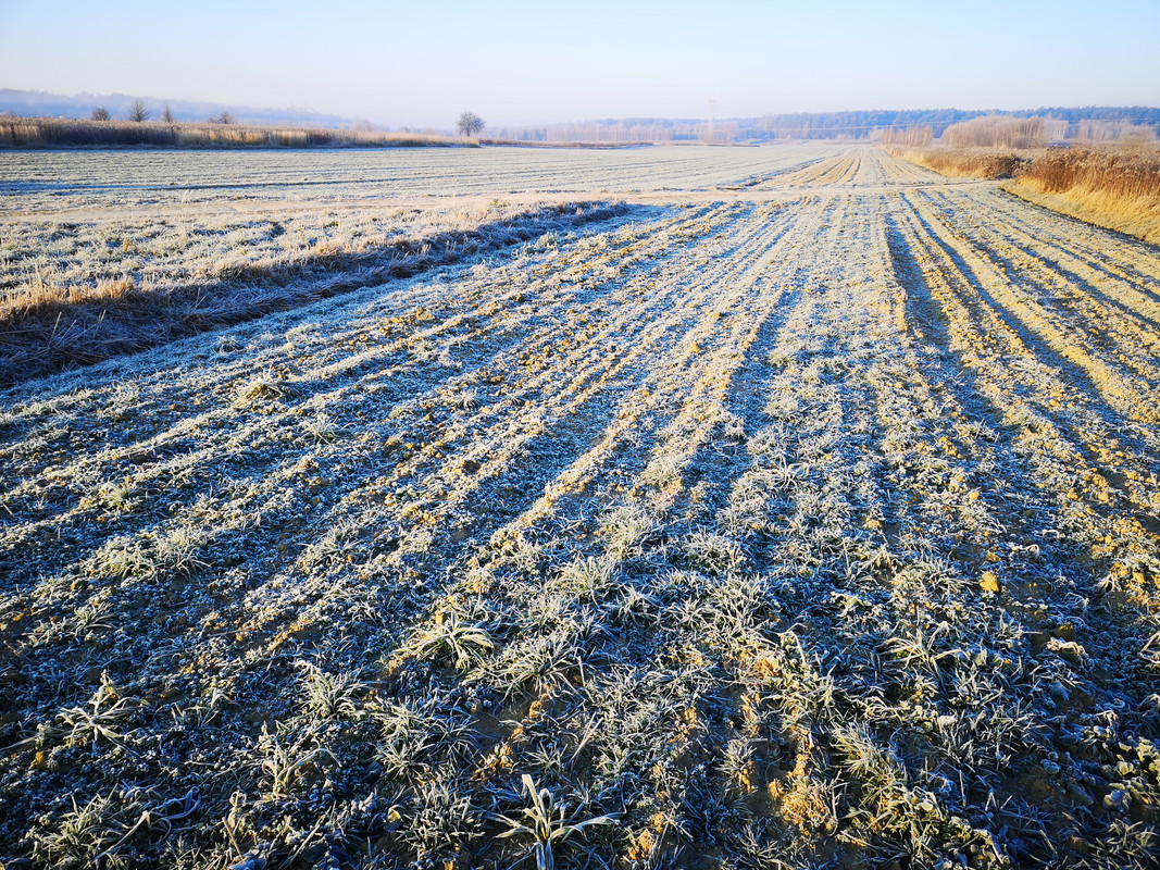 Img 20181128 081017 Postimages