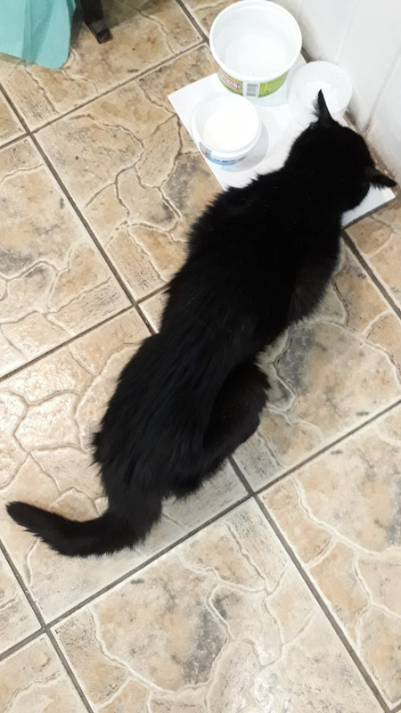 A50FF6DD-F359-44B4-A60F-A9E6BE15FA9E