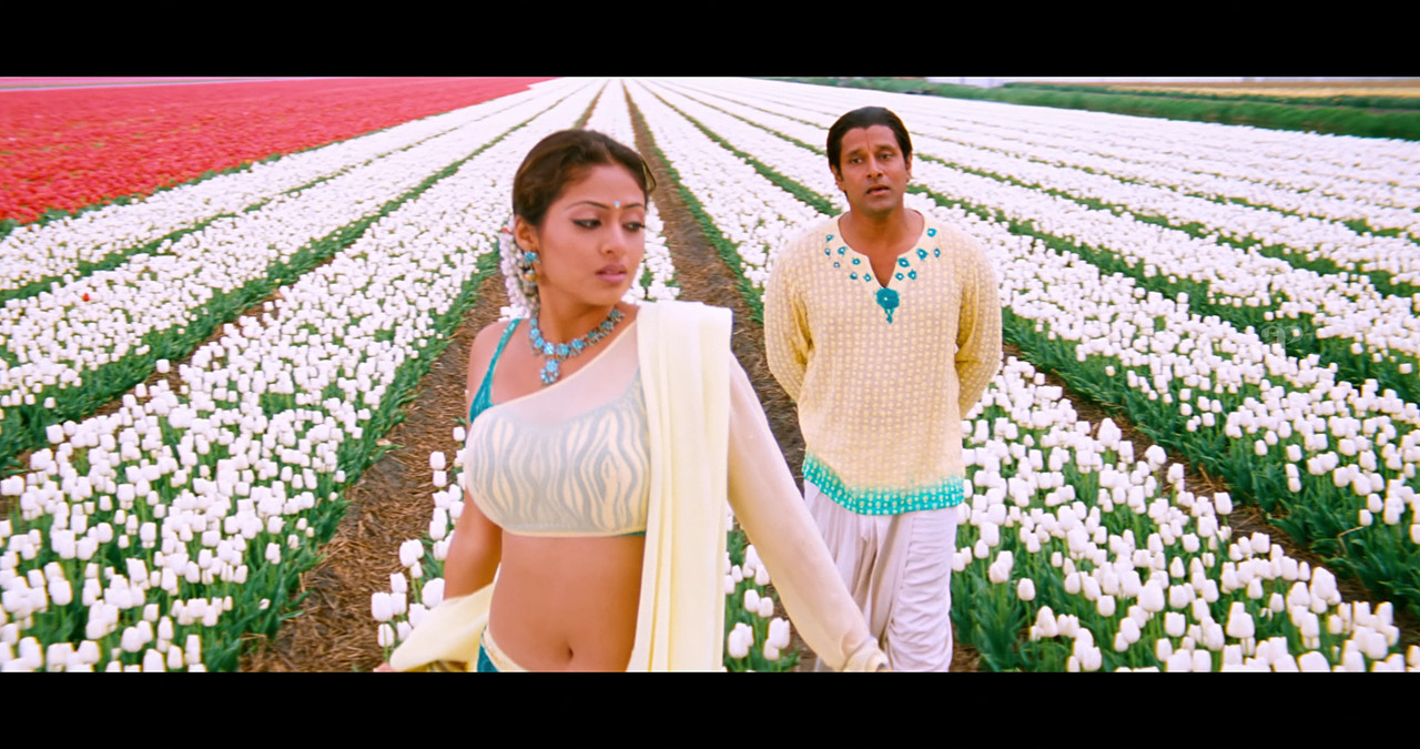 VideoCapture_20241122-195549