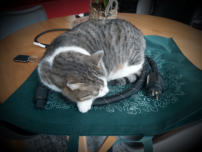 [Image: psaudio.jpg]