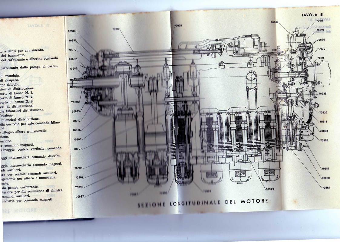 alfa 115- longitudinale