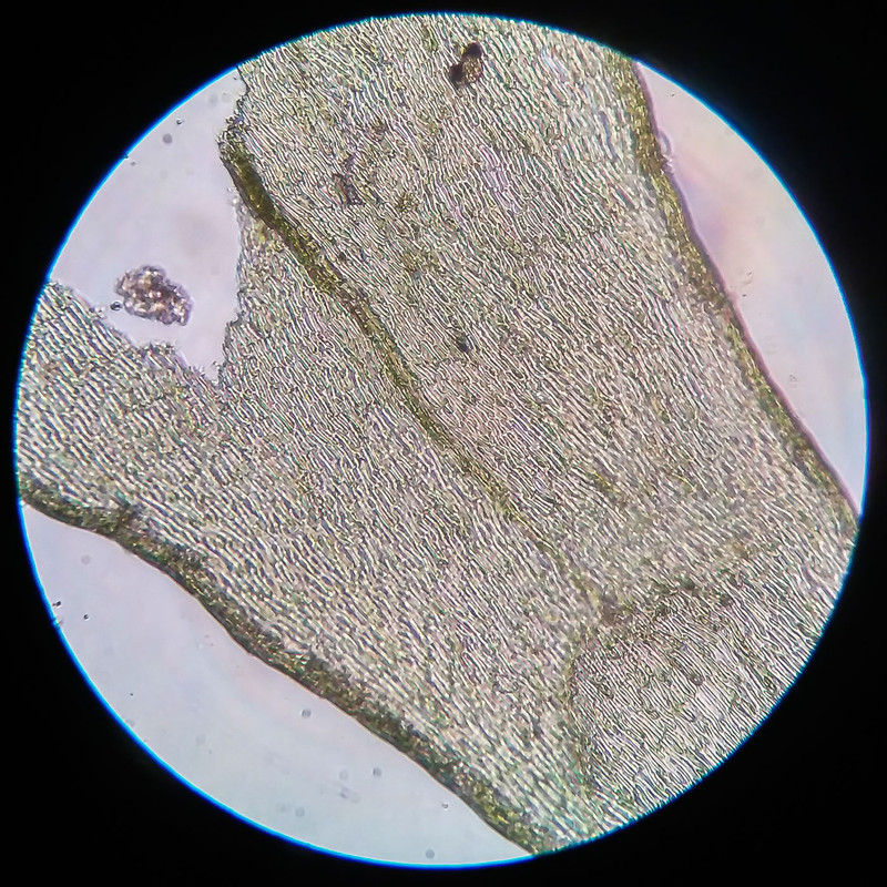 IMG 20250616 210021 HDR