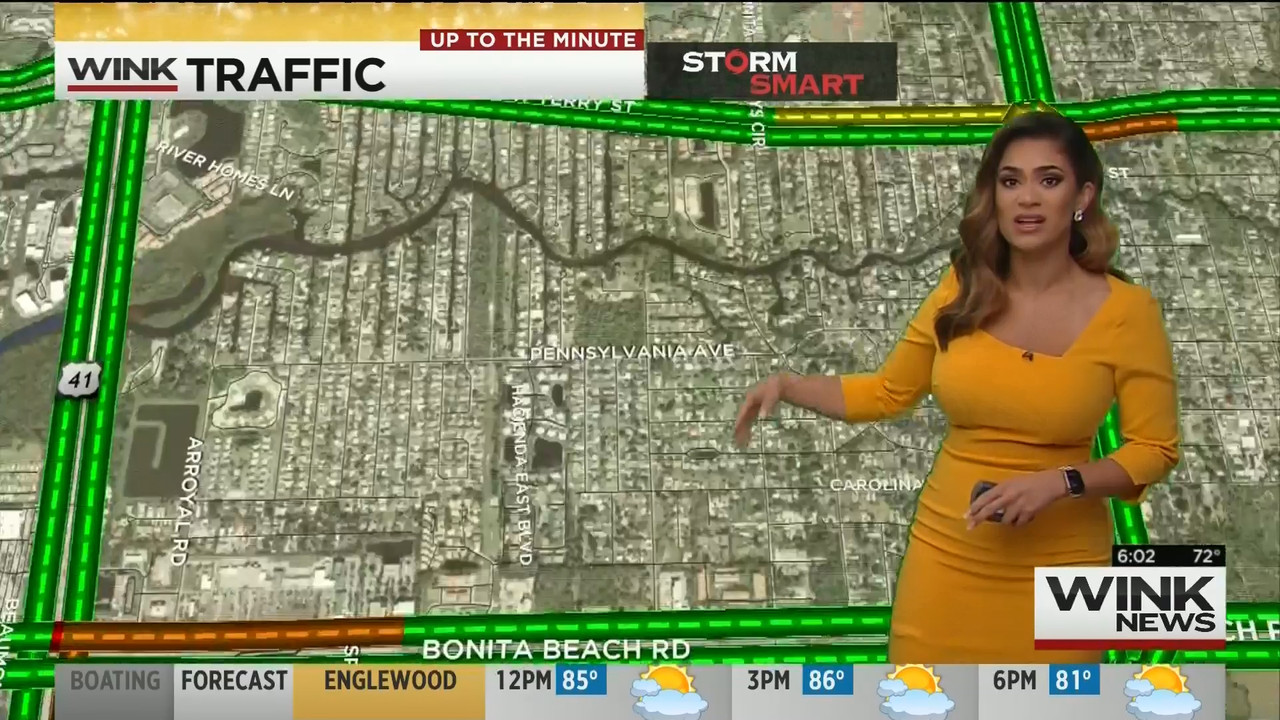 15 May - 11.00.00 - WINK News This Morning..ts_snapshot_03.43_[2020.05.15_23.34.15]