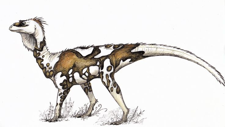 0350f9bb5ff234d6523f828f80291693