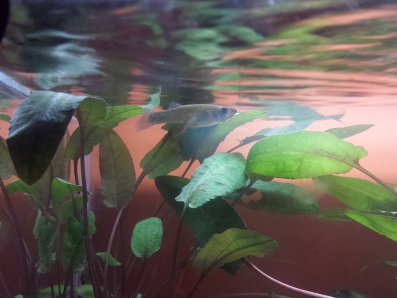 20130917_152450 (Copia)