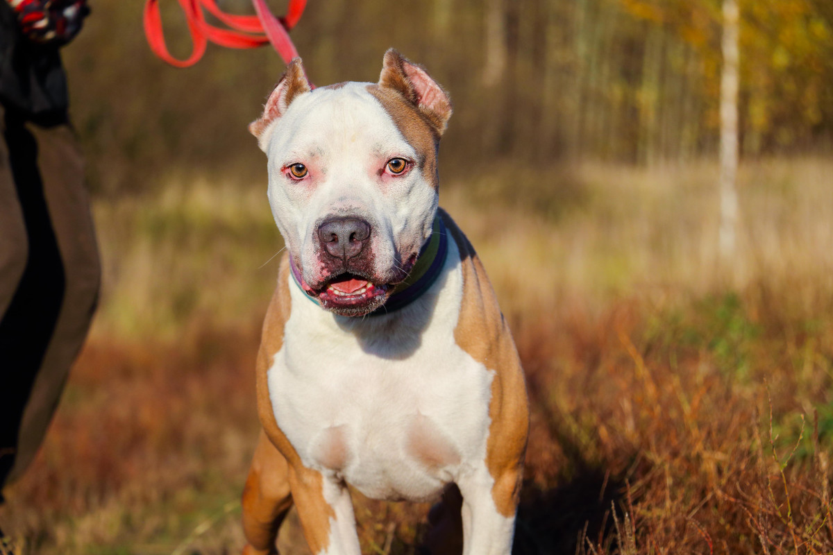 6B9CF2BA-104E-4C72-9D60-AF45E0AD74B3