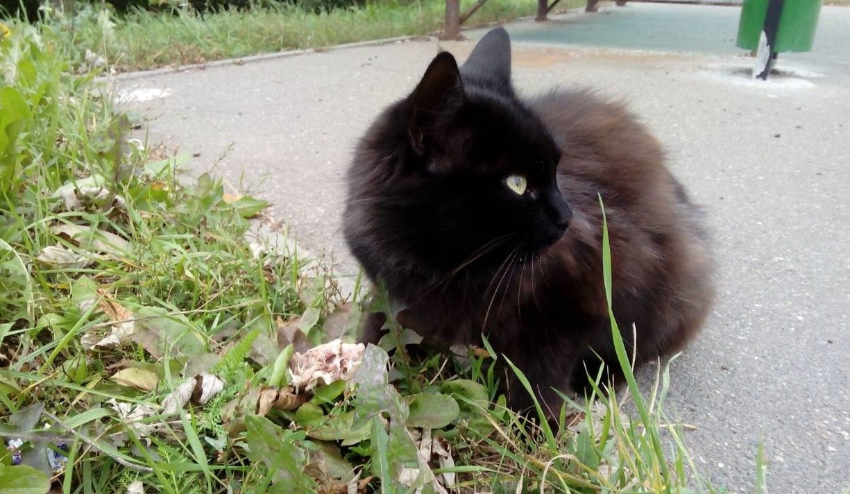 CE430B9E-85BF-4BA3-A895-43A238F94E79