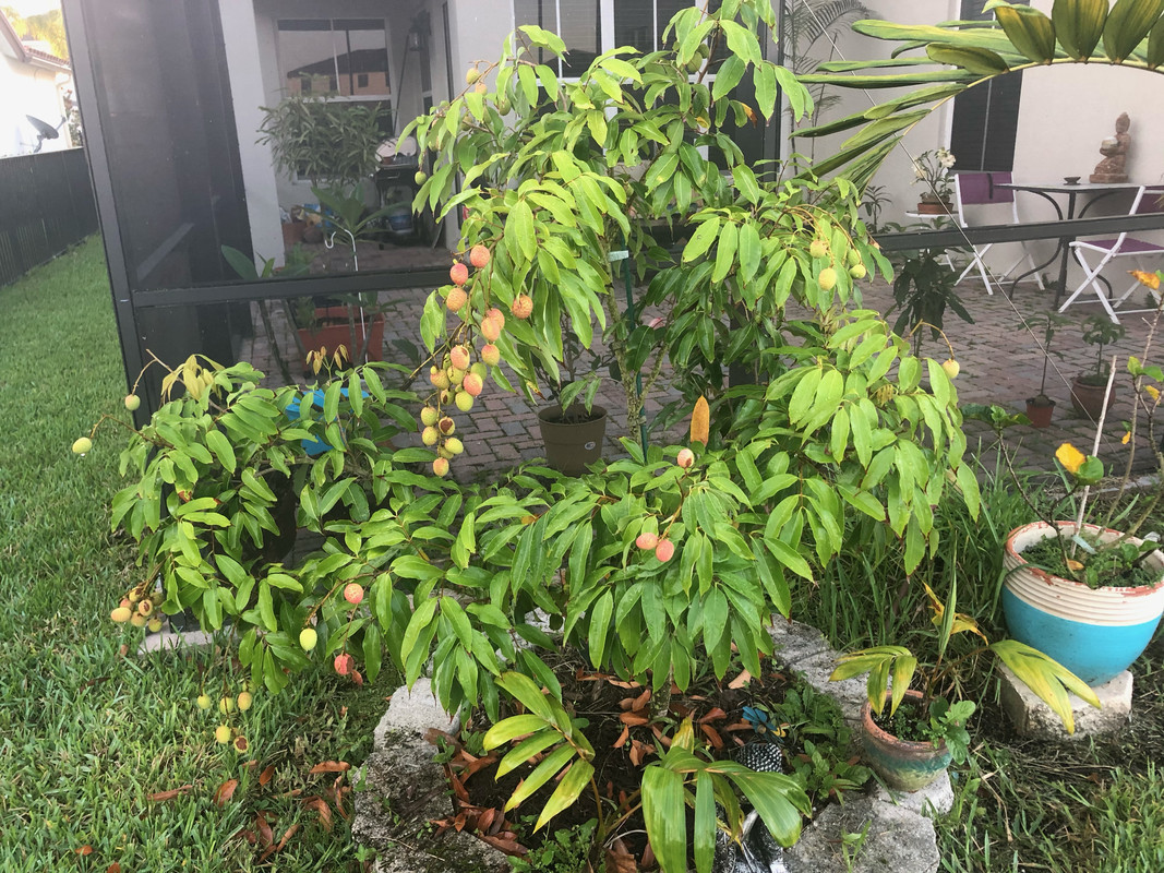 BBADA244-F4B4-43ED-9760-F982D1FFDB60