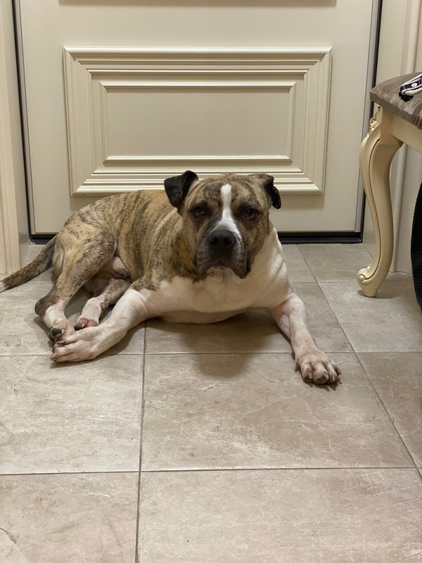 21C1BB49-7E44-4C61-9625-5AEB213783F9