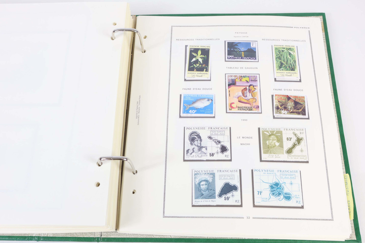 IMG 4971
