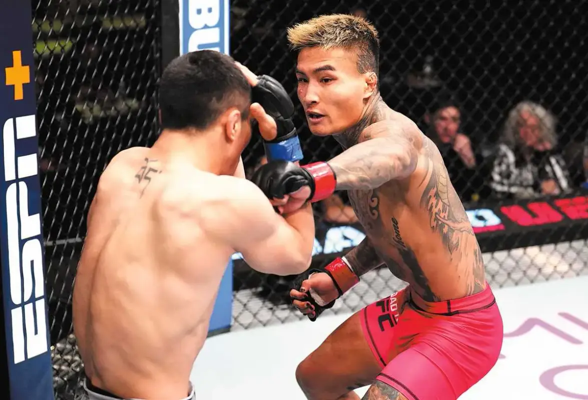 UFC Fight Night