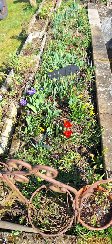 [Image: 20250306-151150.jpg]