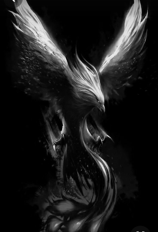 Screenshot_20240409_011001_Pinterest