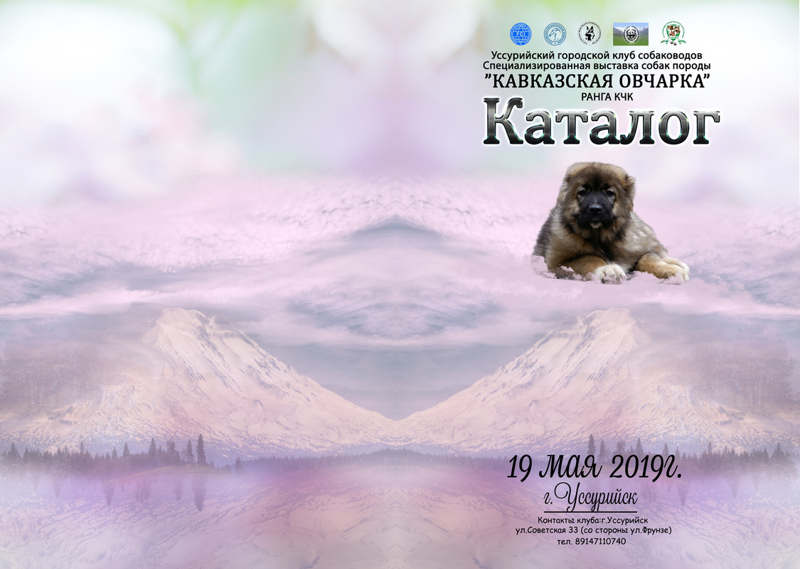 катал КАВКАЗ ОВЧА?