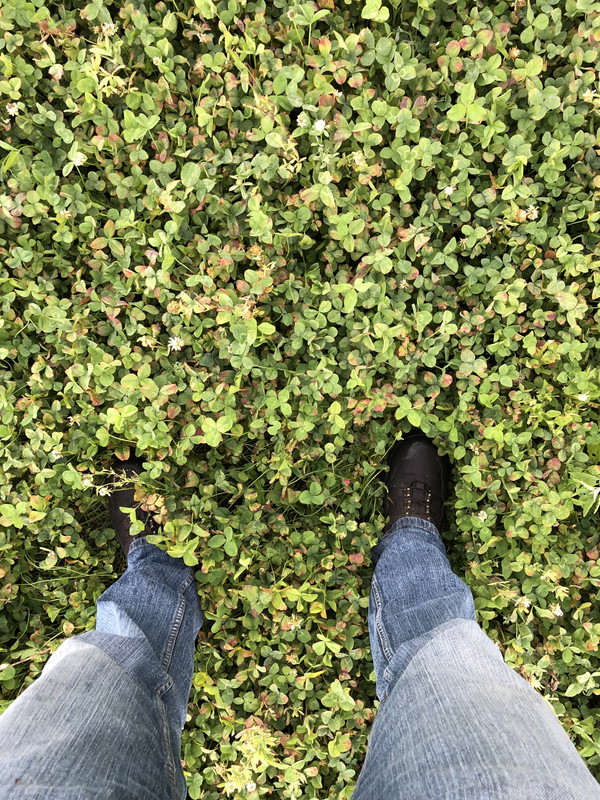 B31FF2AE-F143-4D44-BE39-E8FE4AA087D1