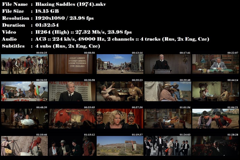 Ohnivá sedla / Blazing Saddles (1974)