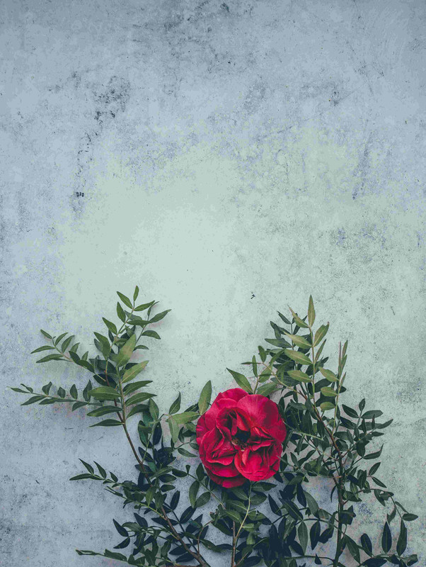 hq background i-photos free lr background image download precap