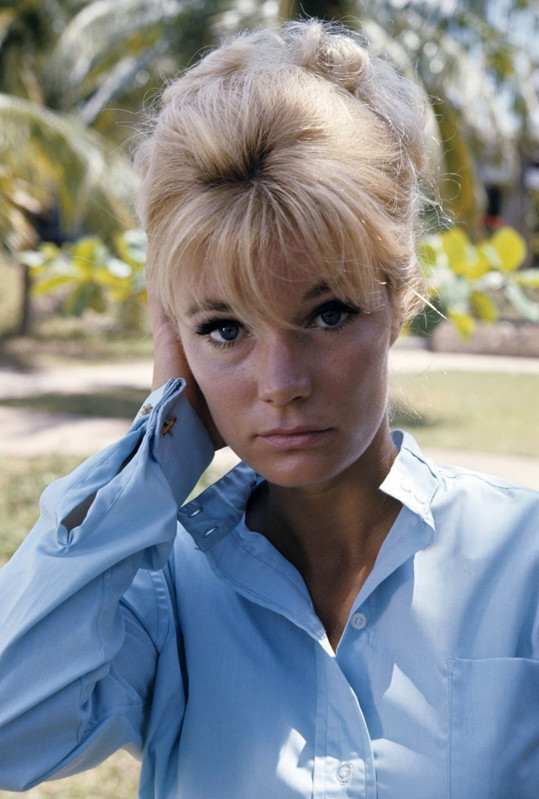 Yvette Mimieux d36