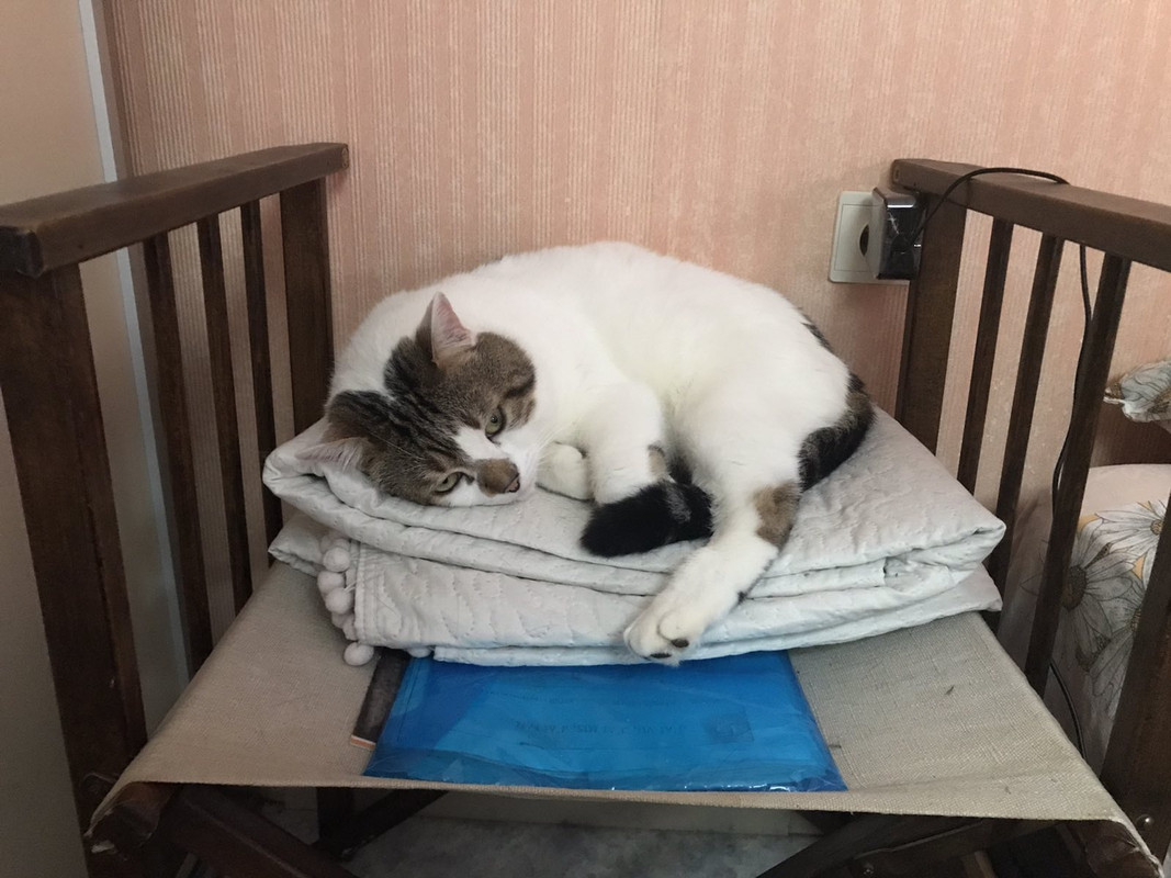 664CCAA5-DCDD-4FE9-BB97-7862721B620C