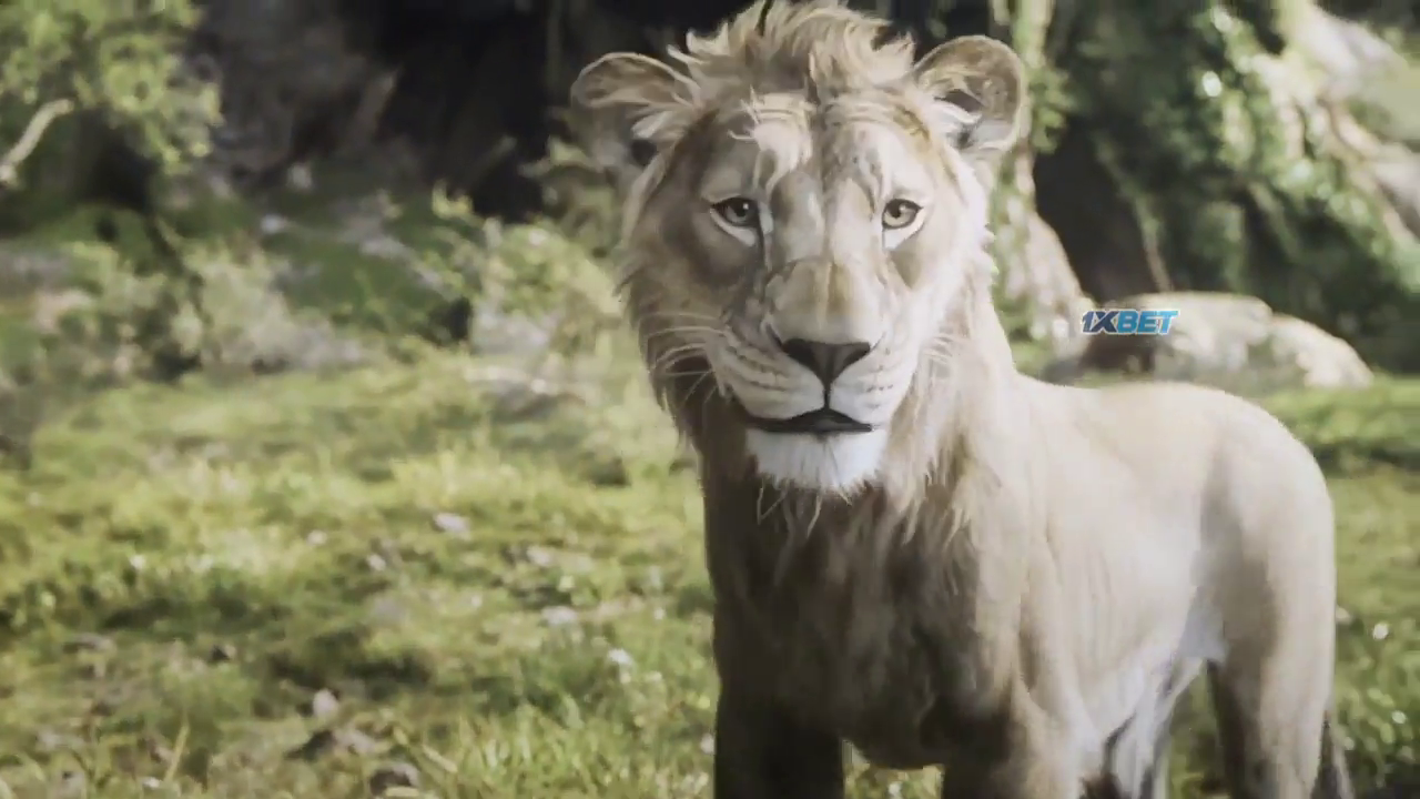 Mufasa: The Lion King 2024 Hindi Dubbed HDTC 