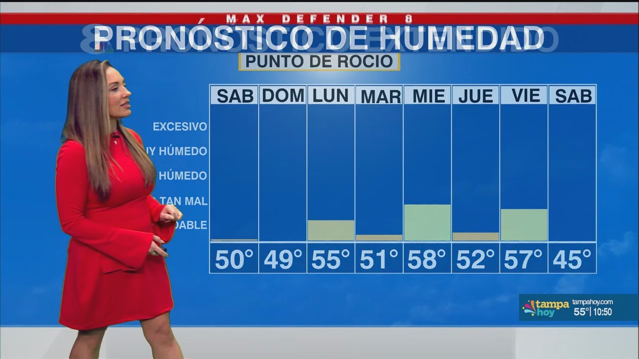 Noticias Tampa Hoy_20250222_03300400.ts_snapshot_20.41.737