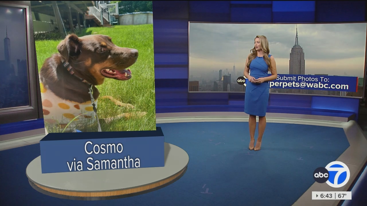 Eyewitness News Sunday Morning_20240526_11001230.ts_snapshot_00.44.57.660