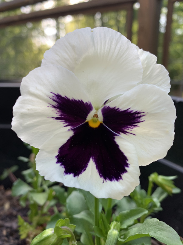 200C9A36-D875-46C1-A182-FF5EA64DBE70