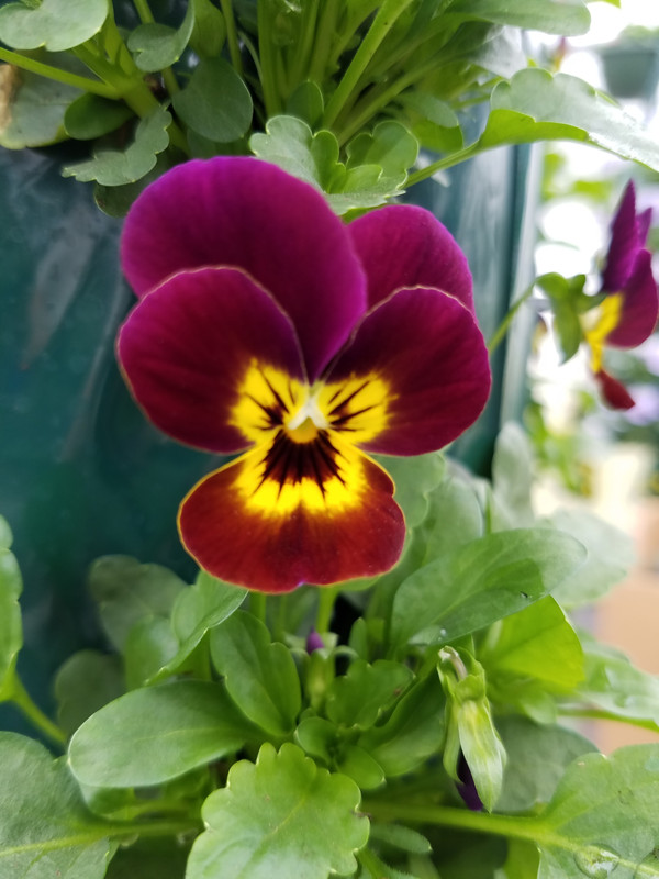 20190411_150828