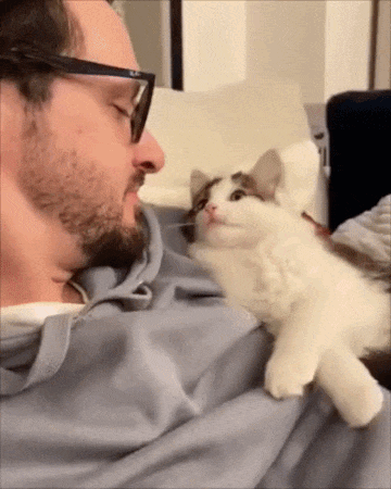 Daddys-Girlm2-res-600p-ezgif-com-optimize.gif